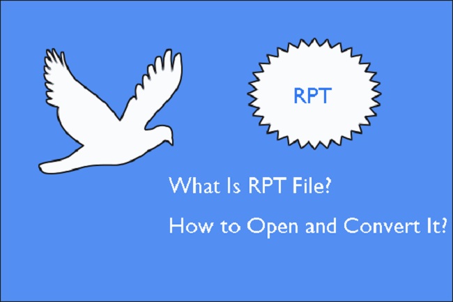 What is an RPT File
