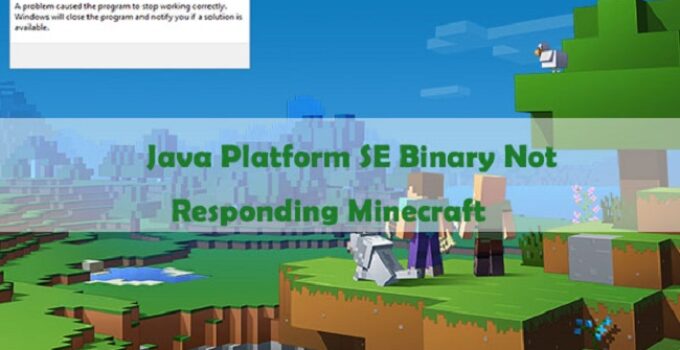 Java TM Platform SE Binary Has Stopped Working Minecraft