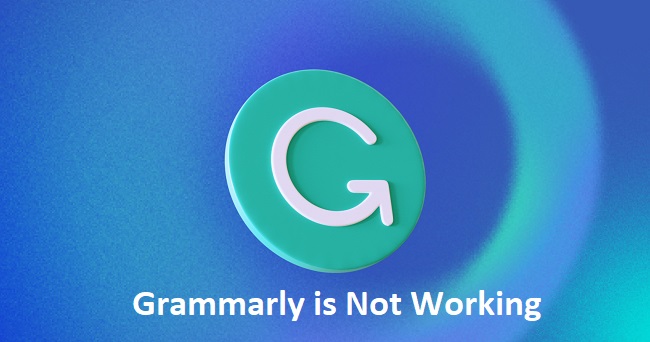Grammarly is Not Working